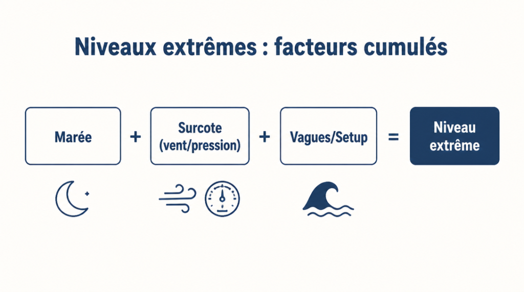 Facteurs cumulés des niveaux extrêmes : marée, surcote et vagues
